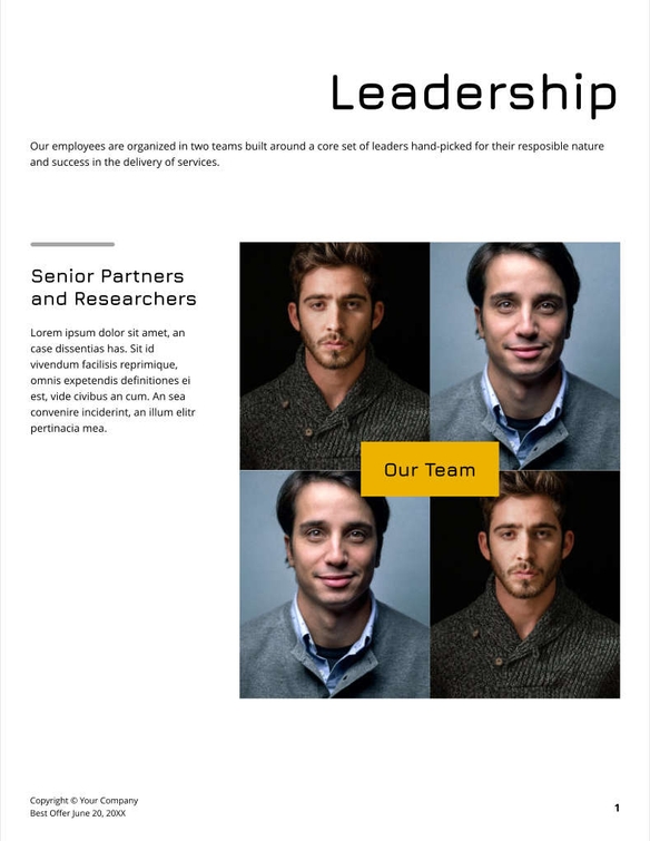 Free proposal hr strategy template