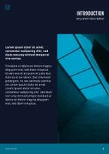 Free e-books data security template