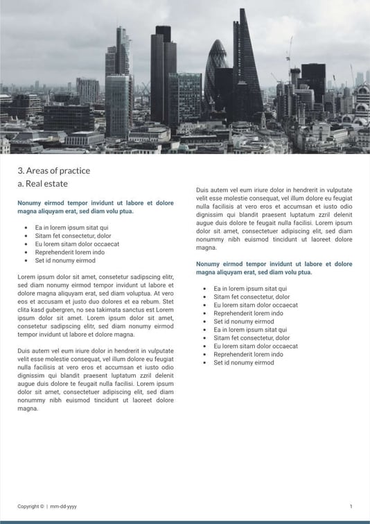 Free e-books law firm template