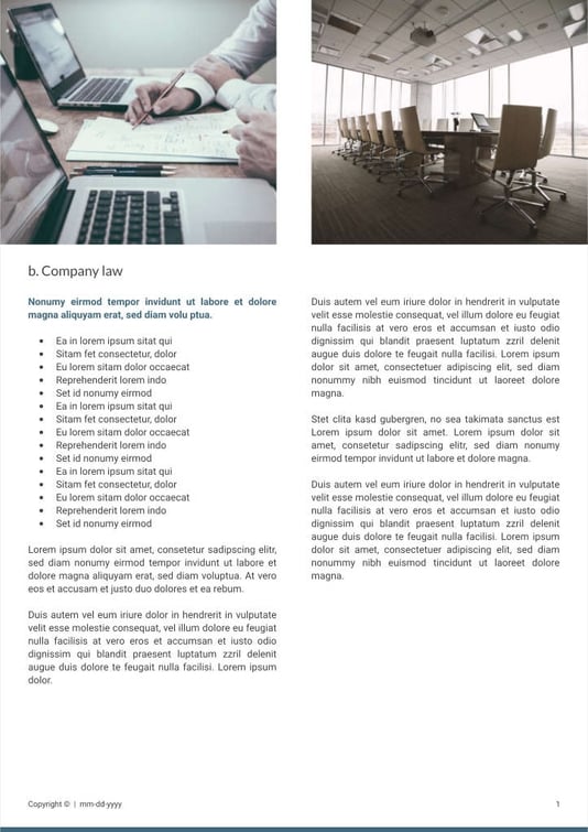 Free e-books law firm template